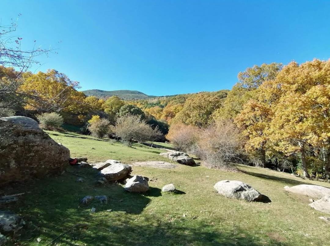 Bonita Casa En El Bosque - El Tiemblo Villa Buitenkant foto