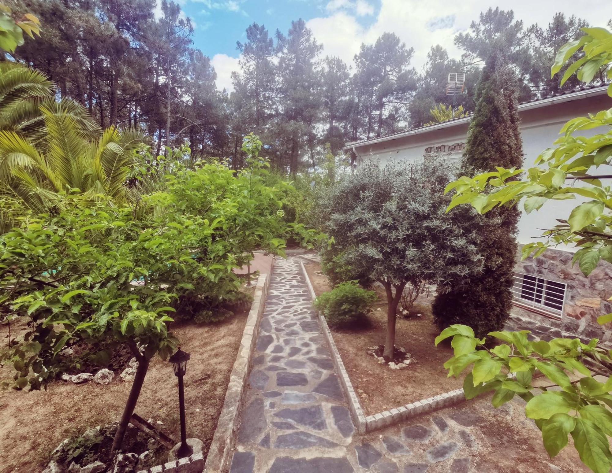 Bonita Casa En El Bosque - El Tiemblo Villa Buitenkant foto